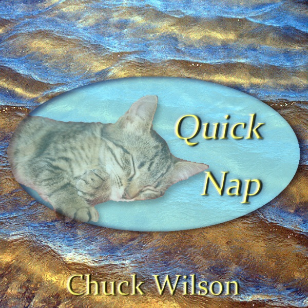 quicknap